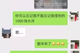 宁波企业清欠服务